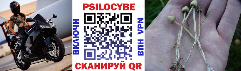 Галлюциногенные грибы мухоморы  где продают наркотики  Сасово 